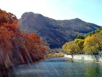 澳门天天好好免费资料，免拆模板